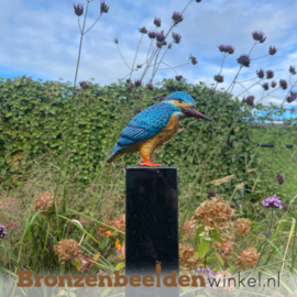 Bronzen ijsvogel "Kingfisher" op granieten sokkel BBW1539kleur