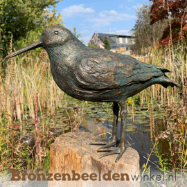 Beeld scholekster vogel in brons BBWR89031