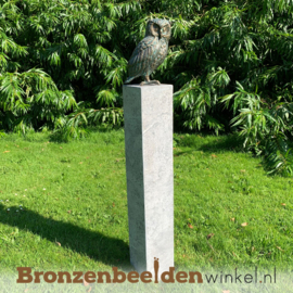 NR 3 | Bronzen beeld Groningen ''Beeld uil brons - steenuil'' BBWR89002