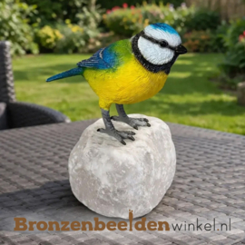Bronzen pimpelmees vogeltje BBW1542br