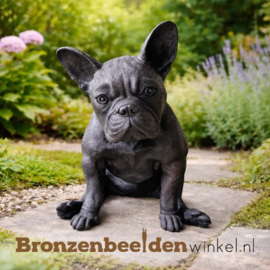 Hond beeld Franse Buldog in brons BBW1412br