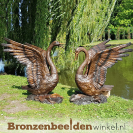 Zwanen beelden BBW55874br