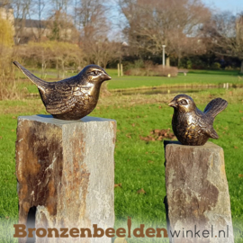 Gedenkbeeld vogels op sokkels BBW80007