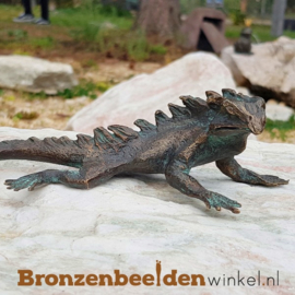 Bronzen leguaan beeldje BBWR90326