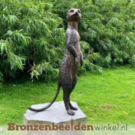 Dierenbeeldje ''Bronzen stokstaartje'' BBW1332BR