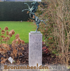 NR 10 | Bronzen paard ''Tuinbeeld abstract paard'' BBW88210