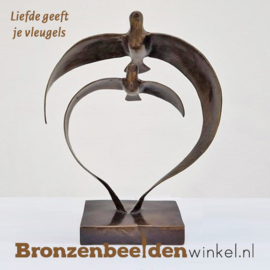 Liefdes kado "Liefde geeft je vleugels" BBW001br81