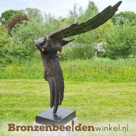 Vliegende uil beeld BBW1321br