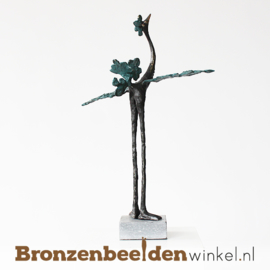 Pensioencadeau "De vleugels uitslaan" BBW004br24