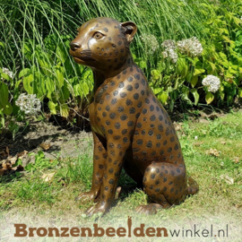 Bronzen luipaard zittend BBW1138