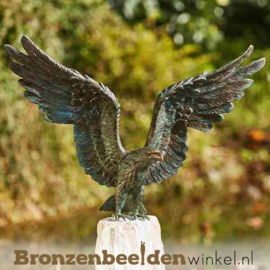 Bronzen zeearend beeld BBWR89001