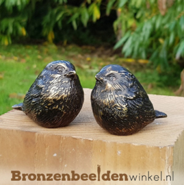 NR 11 | Twee kleine winterkoninkjes BBW0405br