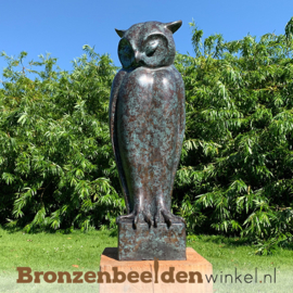 Bronzen uil beeld BBW94533br
