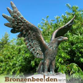 Bronzen roofvogels