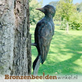 NR 10 | Bronzen bonte specht beeld BBWR88472