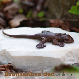 Bronzen salamander beeldje BBWAN1059br