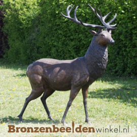 Beeld hert voor in de tuin BBW61071