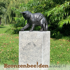 NR 9 | Cadeau kattenliefhebber ''Spelende kat met bal'' BBW1354br