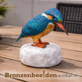 IJsvogeltje op kei BBW1539kei