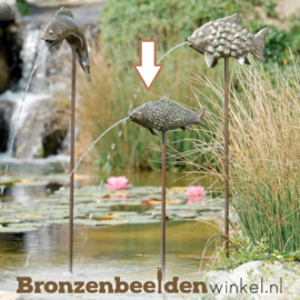 Sterrenbeeld cadeau ''Vis op steel'' BBWR88071