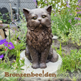 Bronzen Perzische kat beeld BBW1459