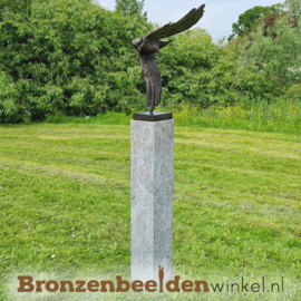 Vliegende uil beeld BBW1321br