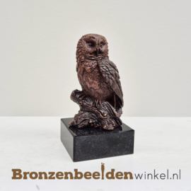 Uil beeldje van brons BBW1513br