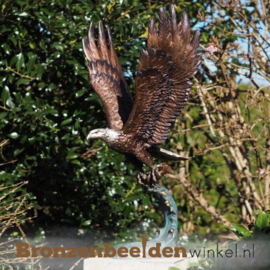 Beeld adelaar met gespreide vleugels BBW56604