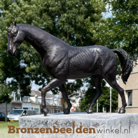 Paardenbeeldje brons BBW1172br