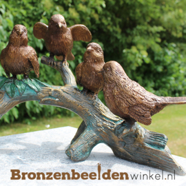 NR 10 | Cadeau vrouw 52 jaar ''Bronzen vogels op tak'' BBW0783br