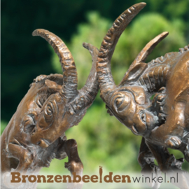 Bronzen bokken BBW75970