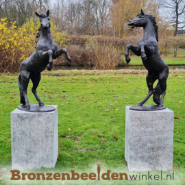 Grote paarden beelden entree - oprijlaan BBW1096br