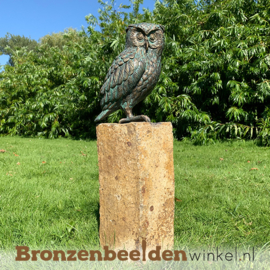NR 2 | Bronzen beeld Rotterdam ''Beeld uil brons - steenuil'' BBWR89002