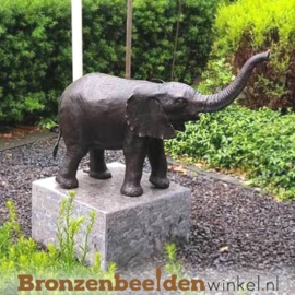 NR 1 | Cadeau man 60 jaar ''Bronzen tuinbeeld olifant'' BBW753