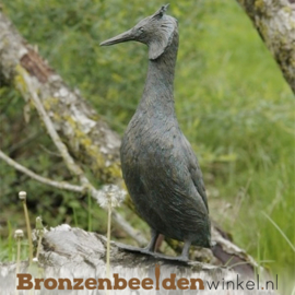 Beeld fuut vogel in brons BBWR88459