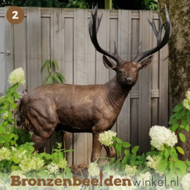 NR 2 | Kado voor jager ''Bronzen hert'' BBW837