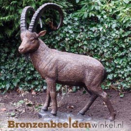 Beeld steenbok brons BBW1276