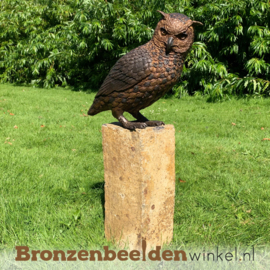 NR 7 | Cadeau man 69 jaar ''Bronzen uil'' BBW2213