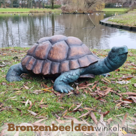 Vijverbeeld Galapagos schildpad BBWB58482