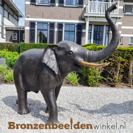 Bronzen beeld olifant BBW944