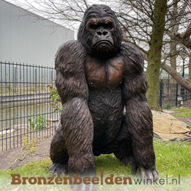 Bronzen gorilla "King Kong" BBWB55870