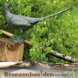 Bronzen fazant beeld BBWR88463