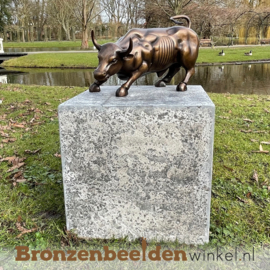 Bronzen beeld stier "Charging Bull" New York