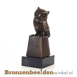 Afstudeercadeau zoon "Het wijze uiltje" BBW033br04