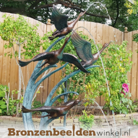 Zwembad beeld 4 eenden BBW52465