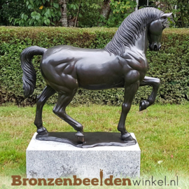 Bronzen beeld dressuurpaard BBW1047br