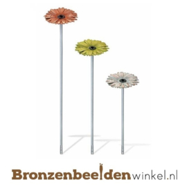 Beeld gerbera's BBW20675