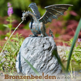 Draken beeld brons BBWR90169