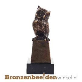 Cadeau masterdiploma "Het wijze uiltje" BBW033br04