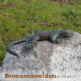 Vogeldrinkschaal natuursteen met 3 salamanders BBWR994348